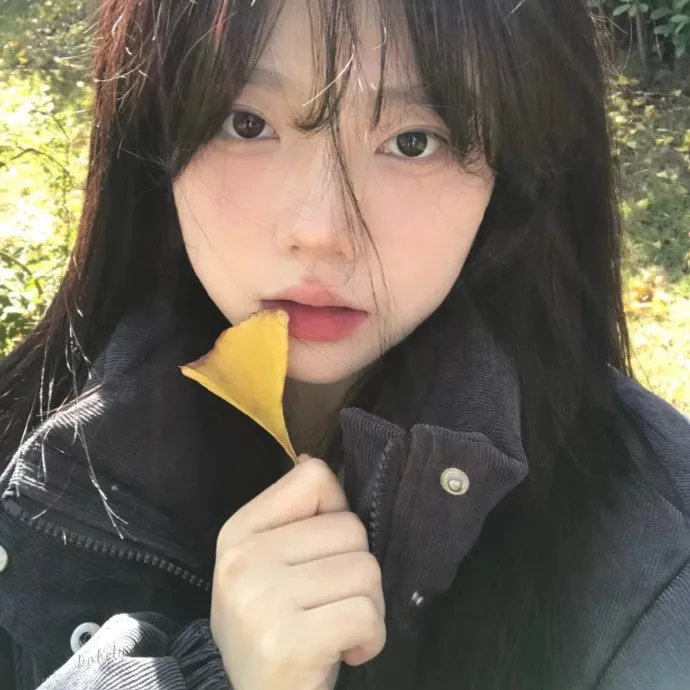 摇曳露营第二季